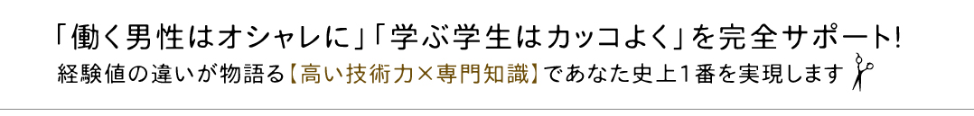 ��V���w�O �����Y���X�w�A�[�X�y�[�XP-JAB �s�[�W���u